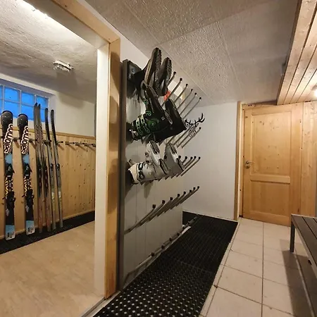 Alpen Appartements Viehhofen - Incl Sommercard Zell Am See Viehhofen Exterior photo