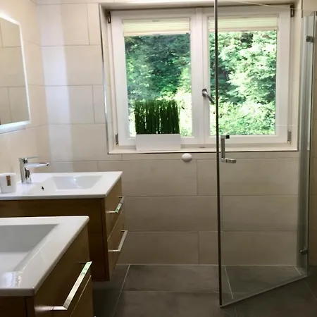 Alpen Appartements Viehhofen - Incl Sommercard Zell Am See Viehhofen Exterior photo