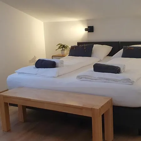 Alpen Appartements Viehhofen - Incl Sommercard Zell Am See Viehhofen Exterior photo