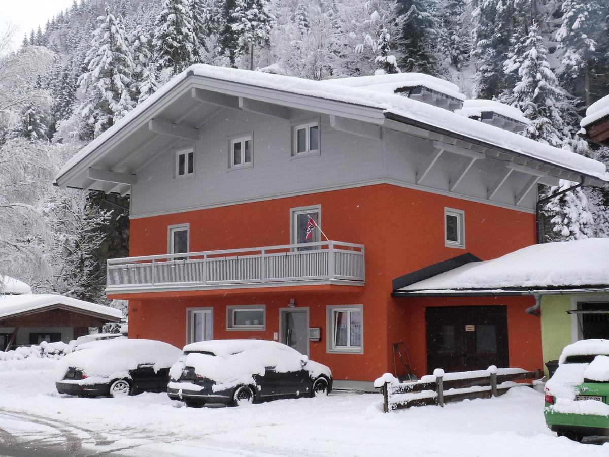Alpen - Incl Sommercard Zell Am Viehhofen