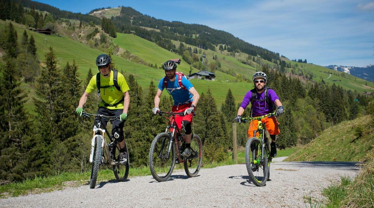 Alpen - Incl Sommercard Zell Am